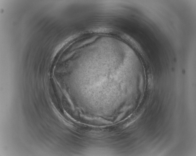 X0000084040725200703022148