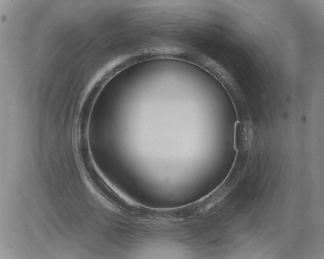 X0000084040726200703022148