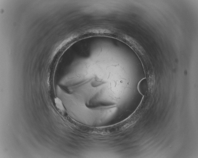 X0000084040727200703022148