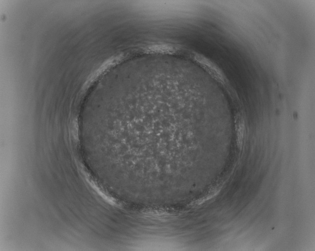 X0000084040729200703022148