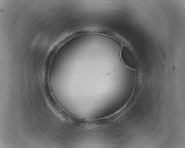 X0000084040730200703022148