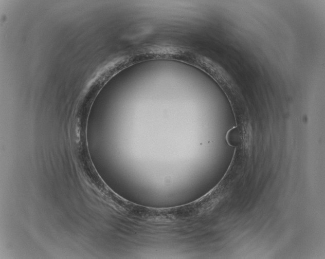 X0000084040731200703022148