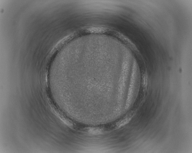 X0000084040733200703022148