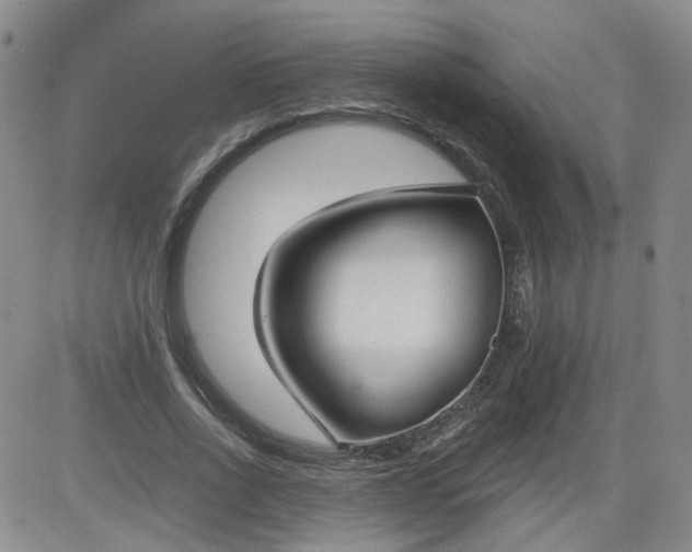 X0000084040734200703022148