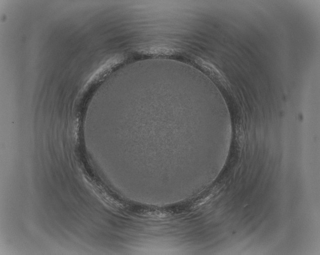 X0000084040735200703022148