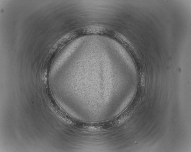 X0000084040737200703022148