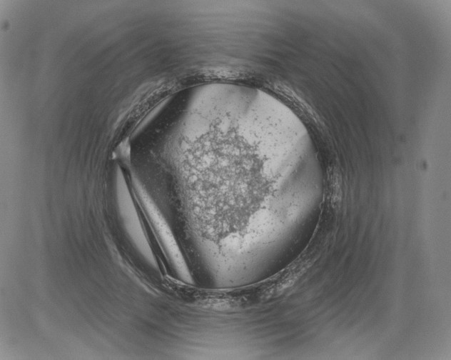 X0000084040738200703022148