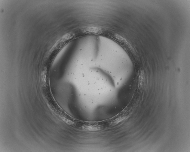 X0000084040739200703022148