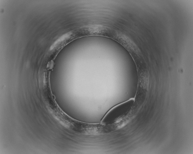 X0000084040740200703022148