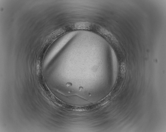 X0000084040741200703022148