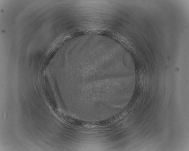 X0000084040742200703022148