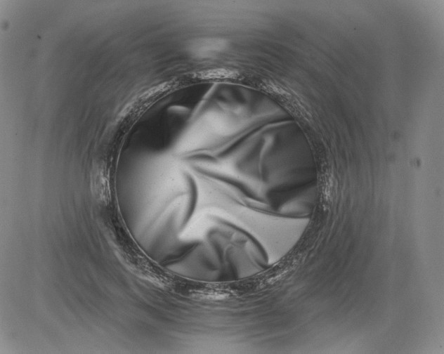 X0000084040743200703022148