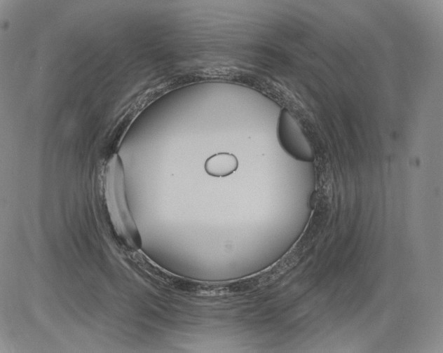 X0000084040744200703022148