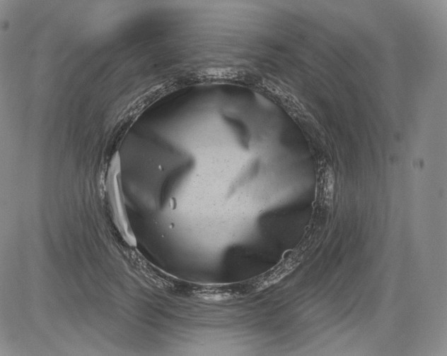 X0000084040746200703022148