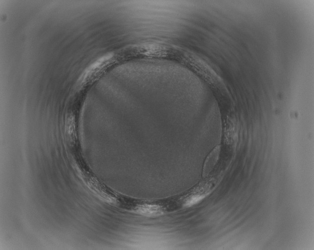 X0000084040748200703022148