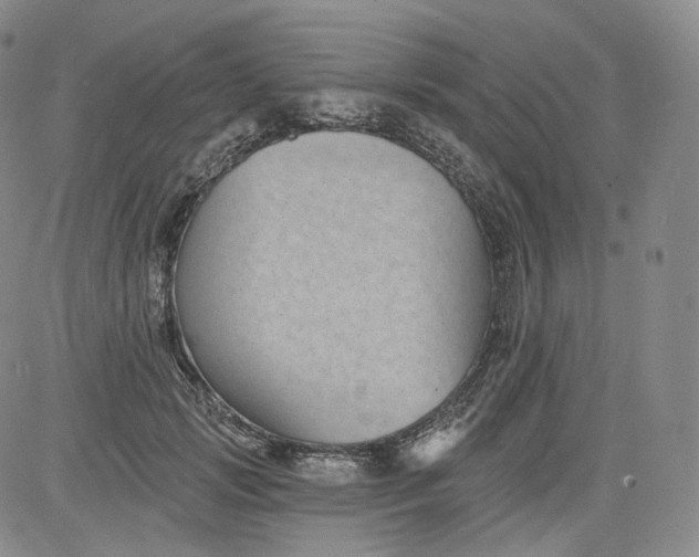 X0000084040749200703022148