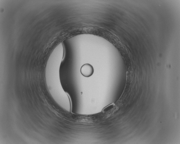 X0000084040750200703022148