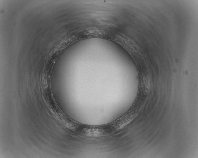 X0000084040751200703022148