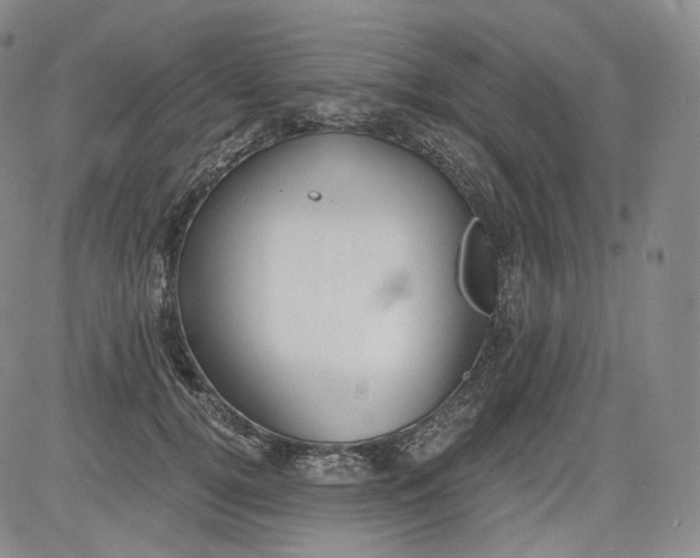 X0000084040752200703022148