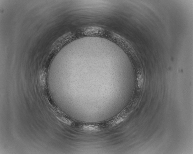 X0000084040753200703022148