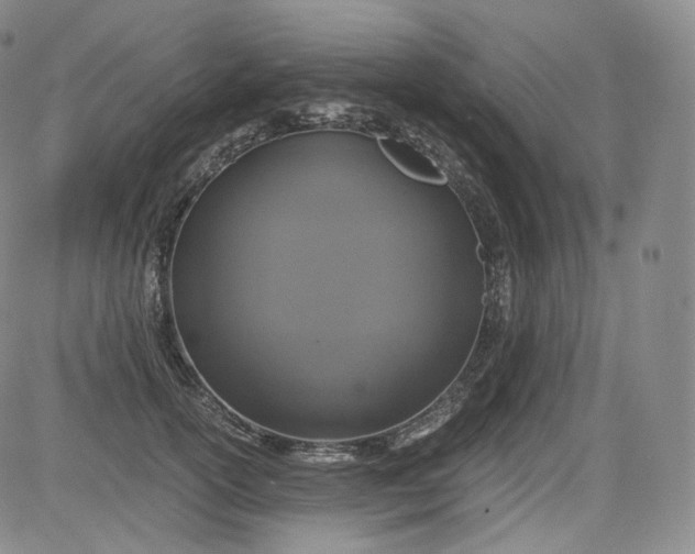 X0000084040754200703022148