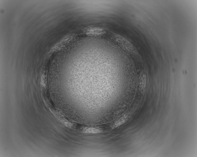 X0000084040755200703022148