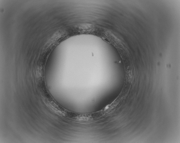 X0000084040756200703022148