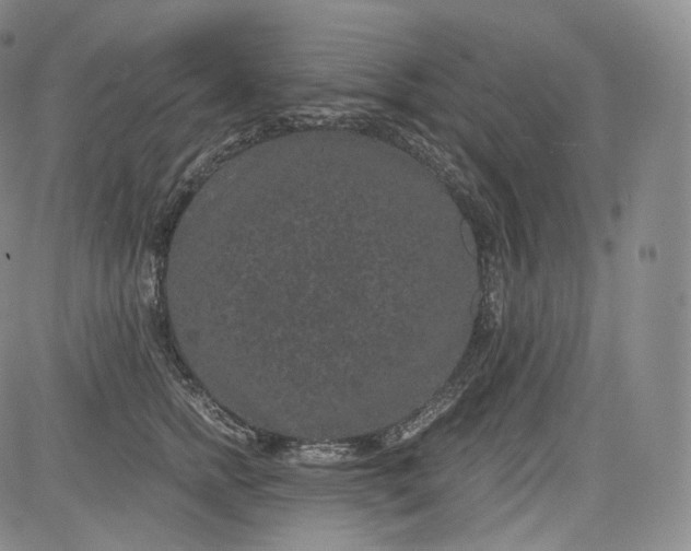 X0000084040758200703022148