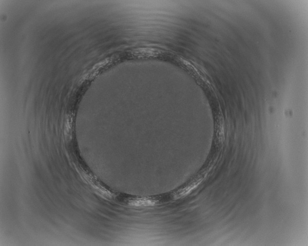 X0000084040759200703022148