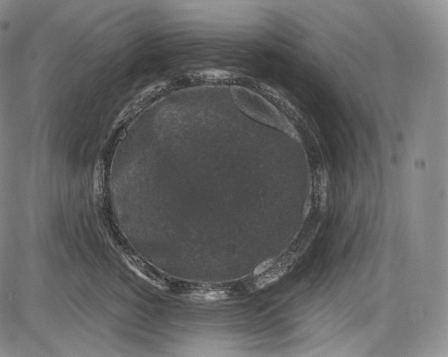 X0000084040760200703022149