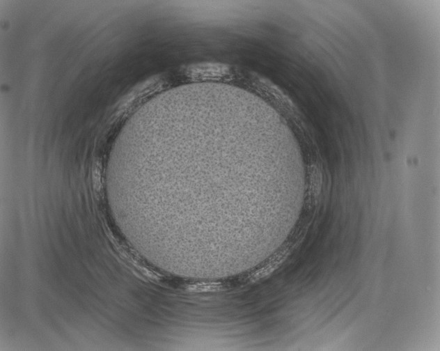 X0000084040761200703022149