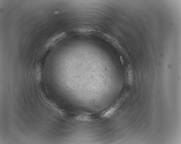 X0000084040762200703022149