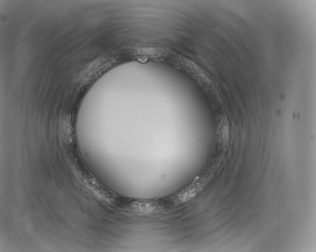 X0000084040764200703022149