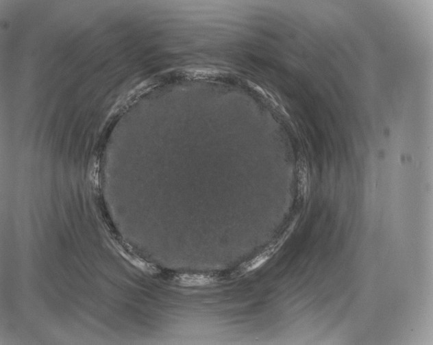 X0000084040766200703022149