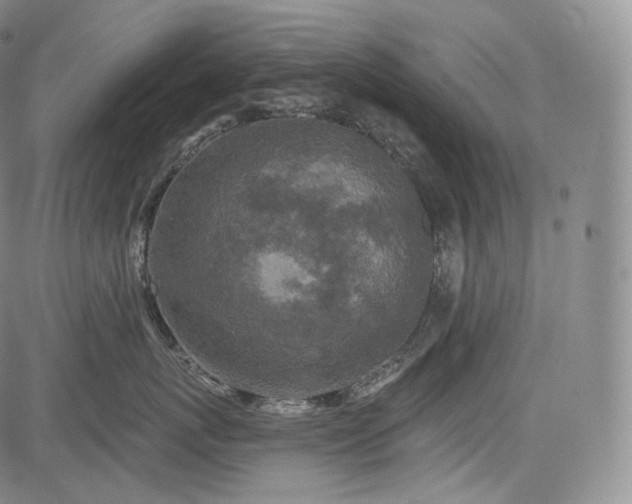 X0000084040767200703022149