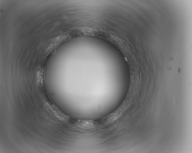 X0000084040768200703022149