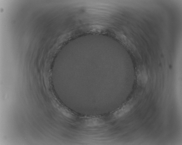 X0000084040769200703022148