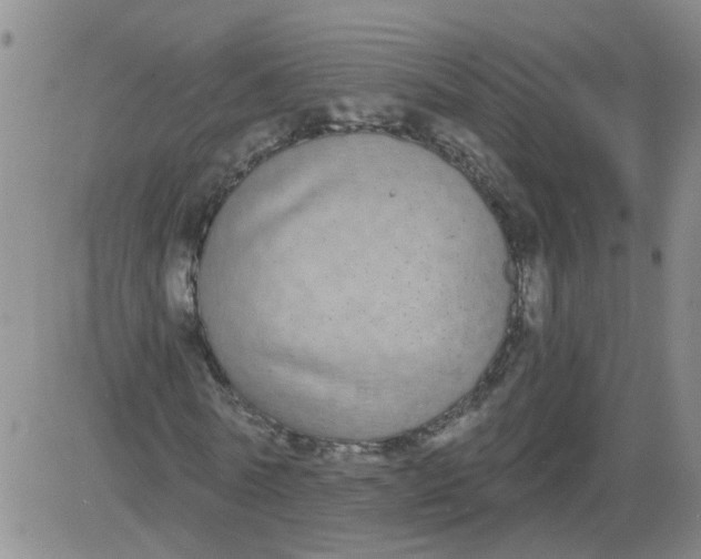 X0000084040770200703022148