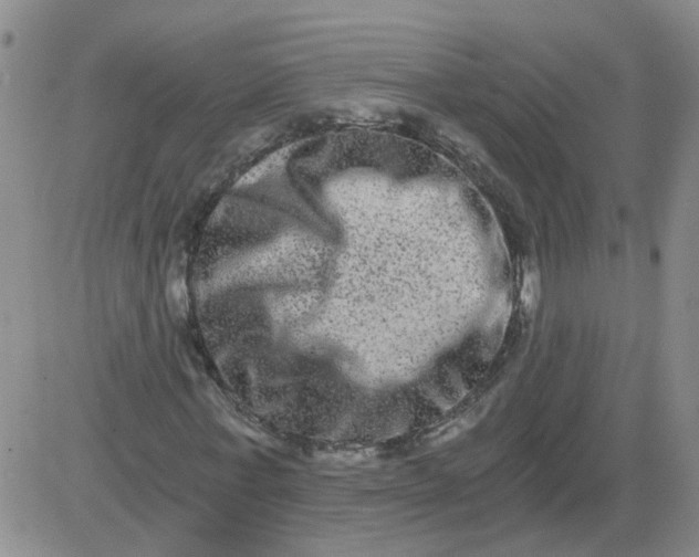 X0000084040771200703022148