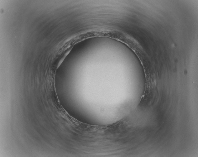 X0000084040773200703022148