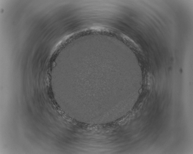 X0000084040776200703022148