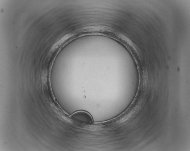 X0000084040778200703022148