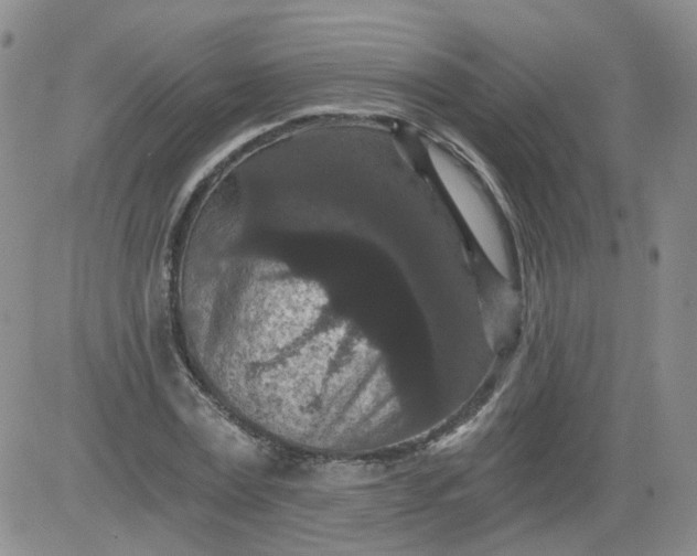 X0000084040779200703022148