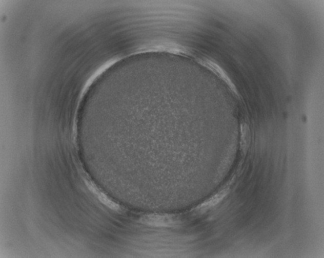 X0000084040780200703022148