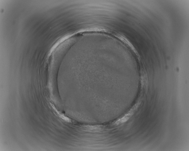 X0000084040781200703022148