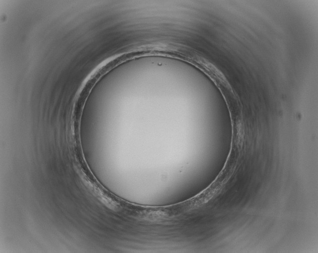 X0000084040784200703022148