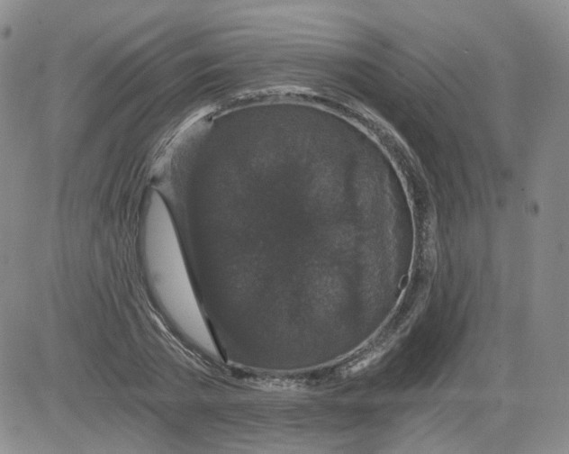 X0000084040785200703022148