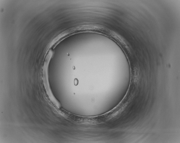 X0000084040786200703022148