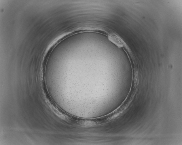 X0000084040787200703022148