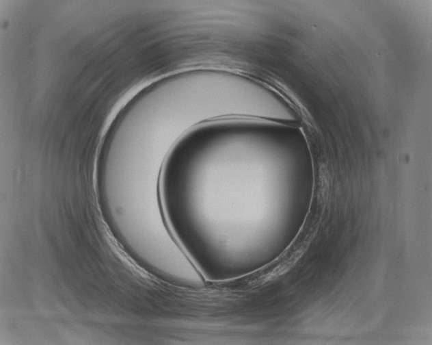 X0000084040788200703022148